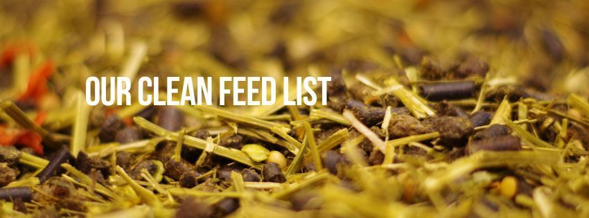 Healthy Horses Inside Out