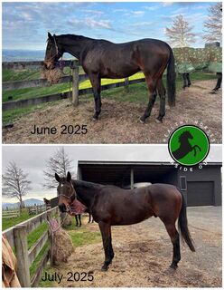 Cleavie Before + After