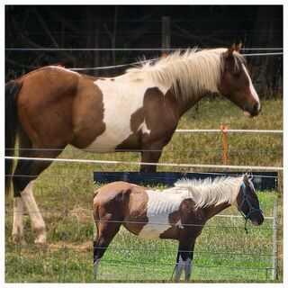 5 weeks apart