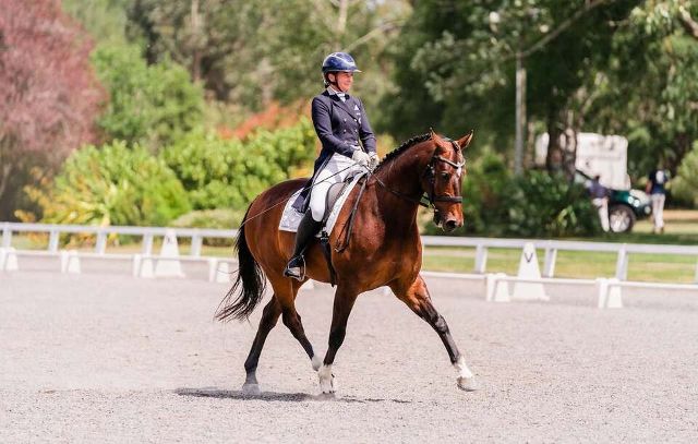 Specific Horse Supplements | Healthy Horses Inside Out